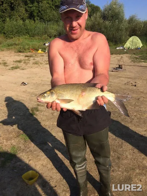 Лещ