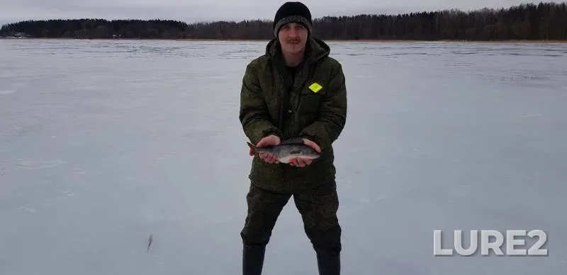 Окунь, Щука — Лосвидо, 26 февр. 2019 г.