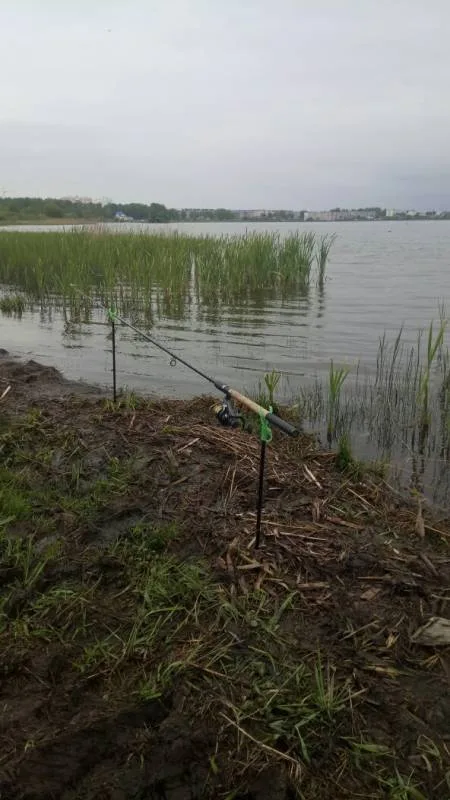 Карась