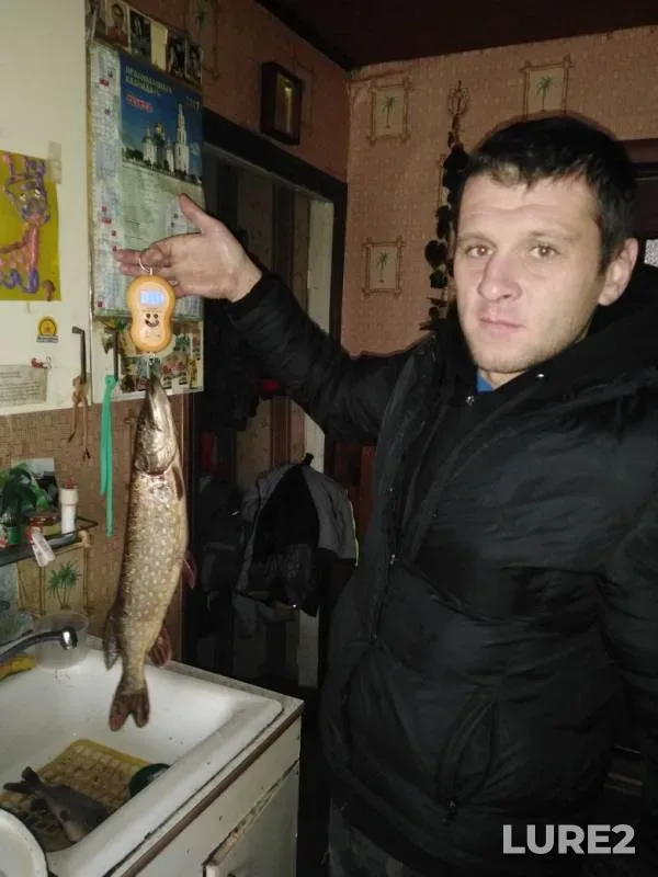 Щука — Мухавец, 18 нояб. 2019 г.