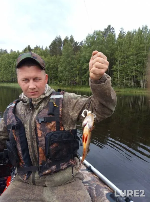 Окунь