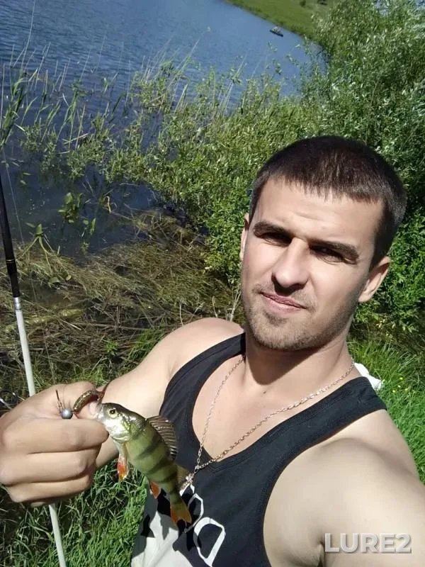 Окунь — Белгородская область, 26 июн. 2018 г.