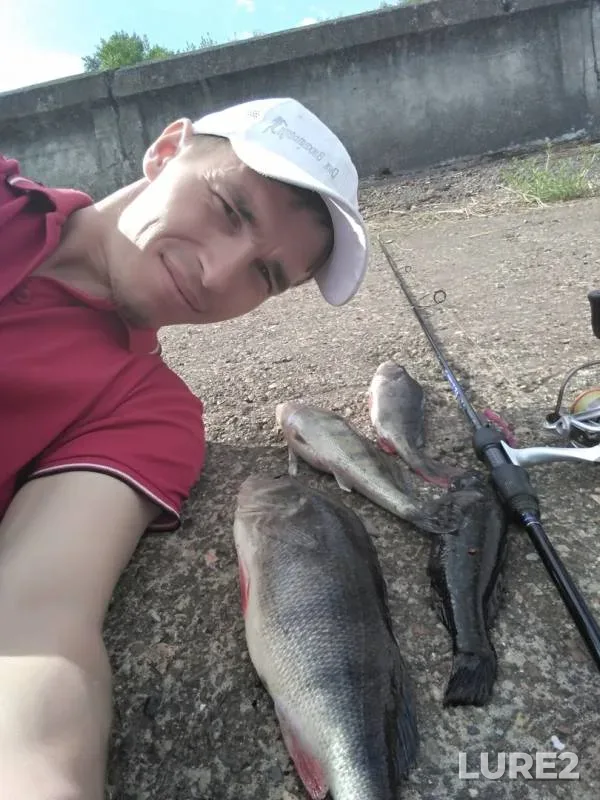 Окунь