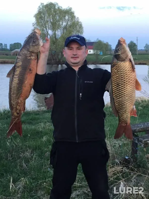 Карп