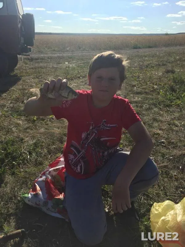 Карась