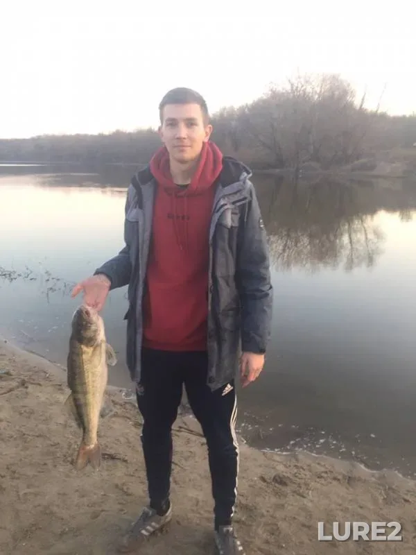 Щука, Плотва