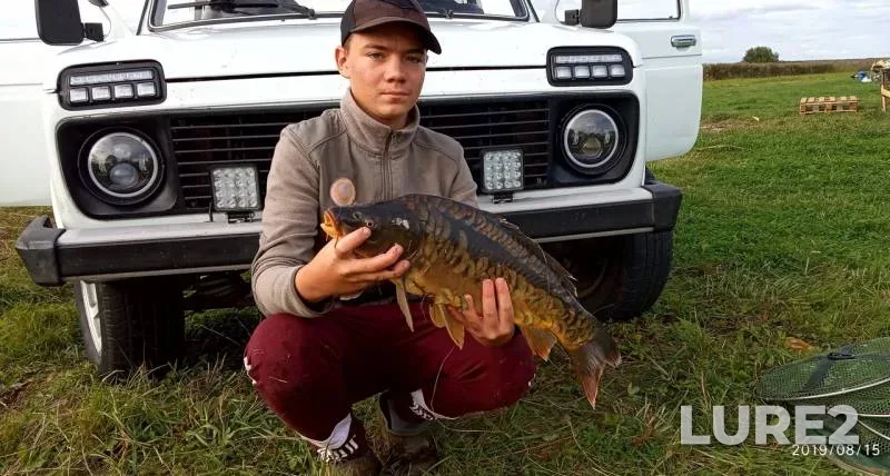Карп