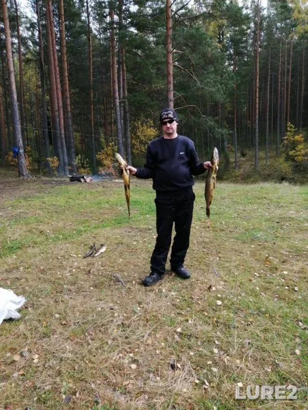 Щука
