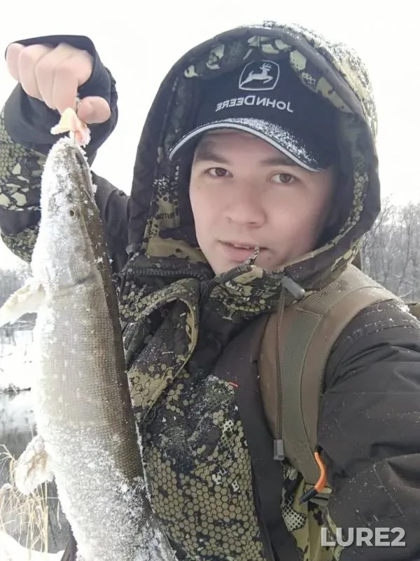 Щука