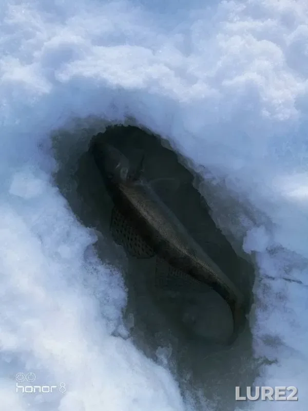 Судак