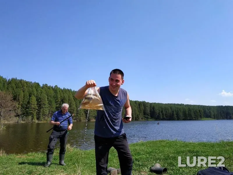 Плотва