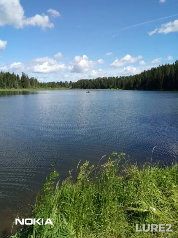 Окунь, Линь