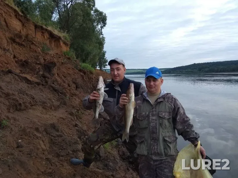 Судак — Удмуртская Республика, Кизнерский район, 14 июл. 2019 г.