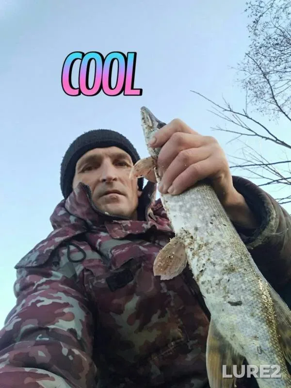 Щука