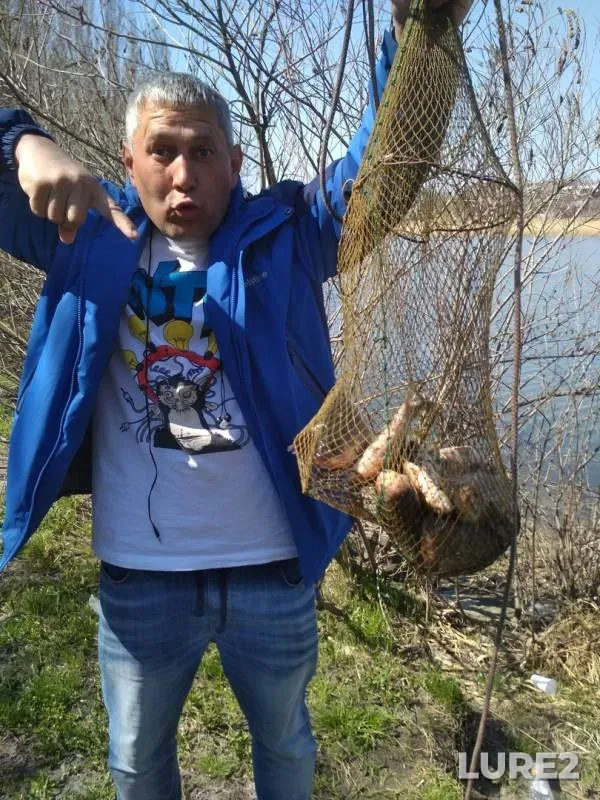 Карась