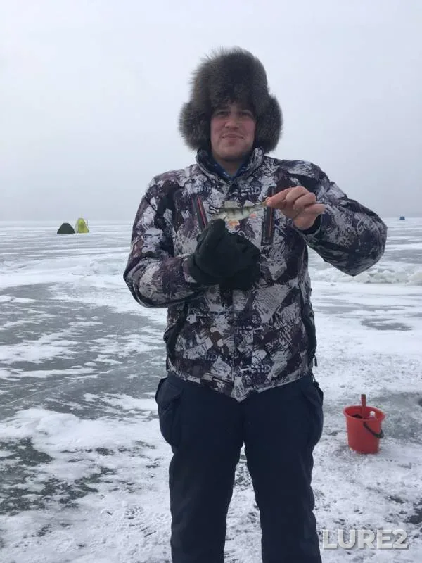 Окунь