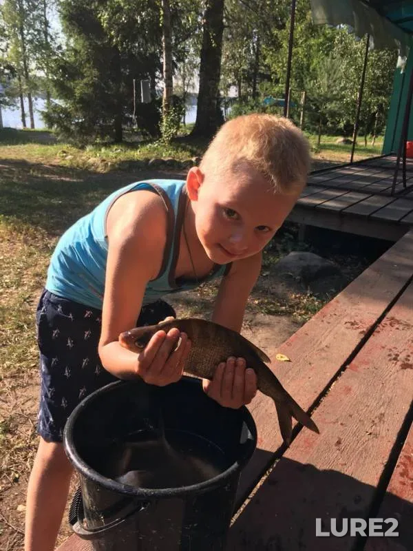 Лещ