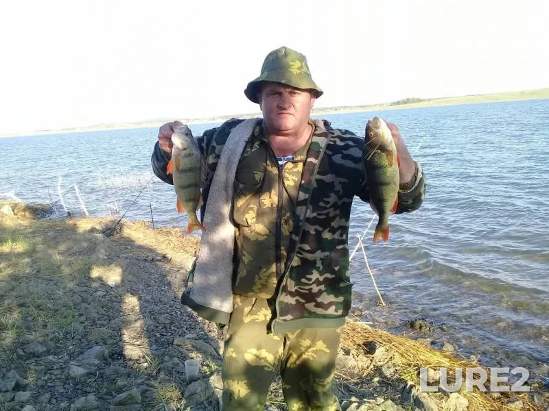 Окунь