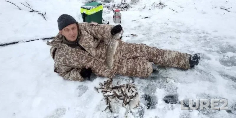 Окунь, Щука