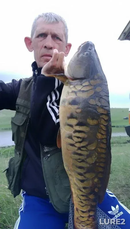 Карп