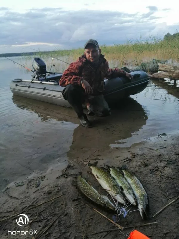 Щука