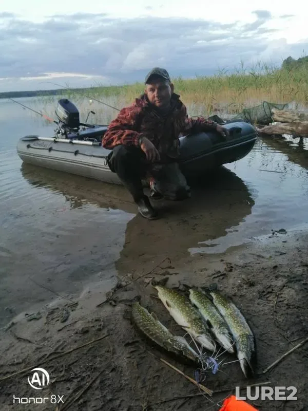 Щука — Ричи, 07 окт. 2019 г.