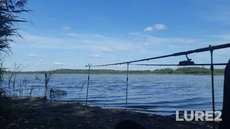 Карп
