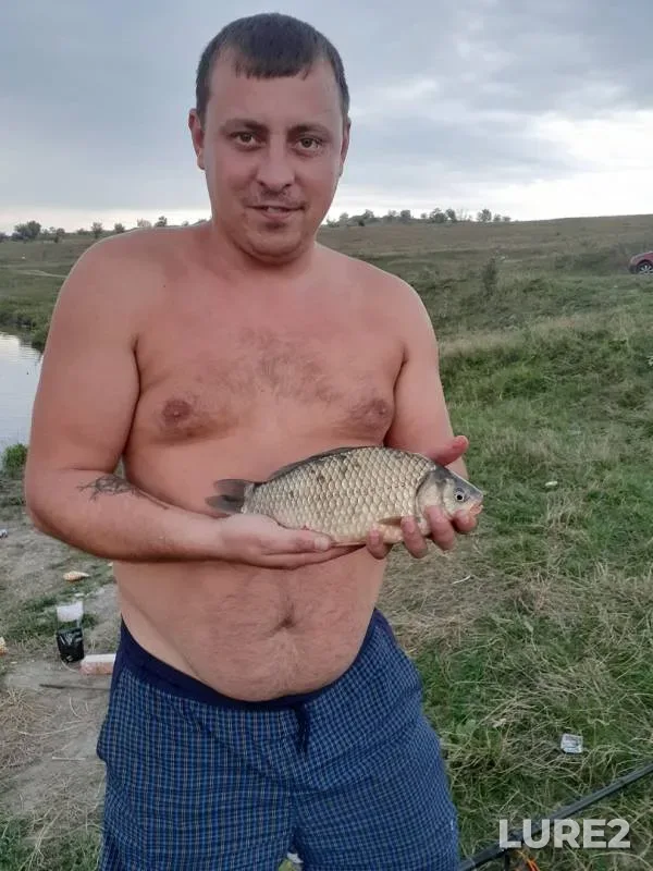 Карась