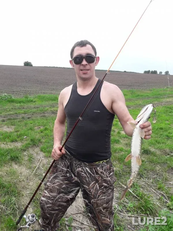 Щука