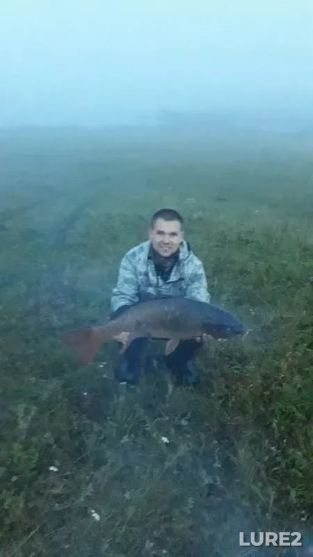 Карп