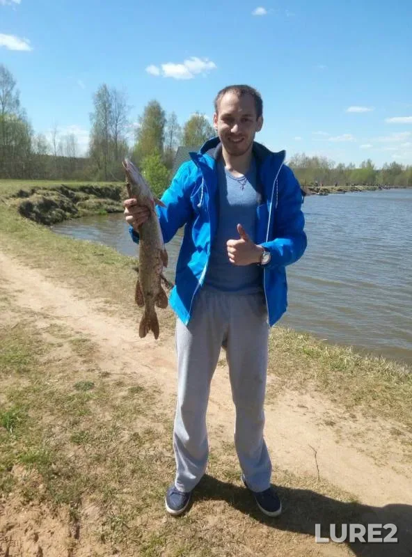 Щука