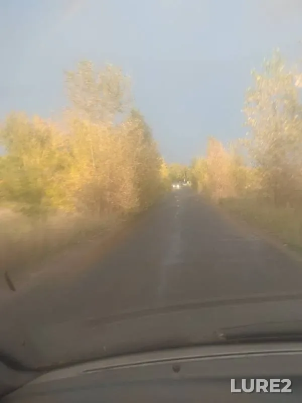 Щука