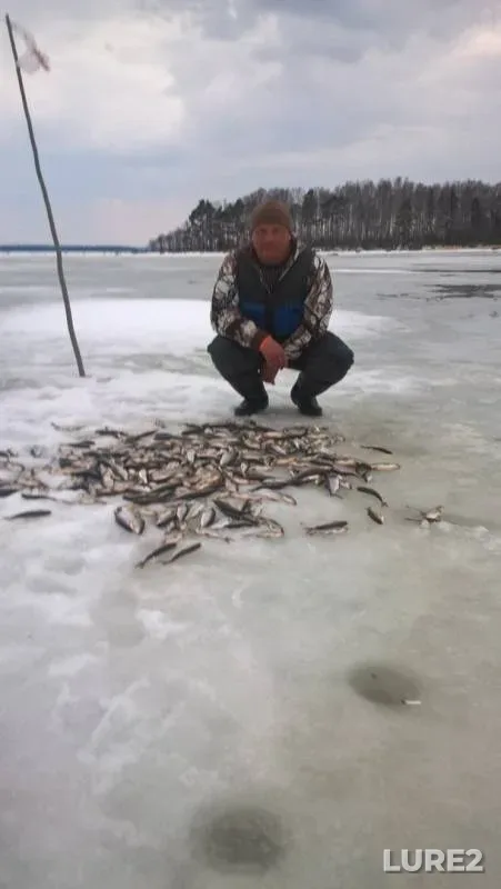 Окунь, Щука — Республика Карелия, Лахденпохский район, 18 февр. 2019 г.