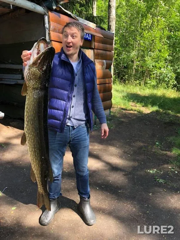 Щука