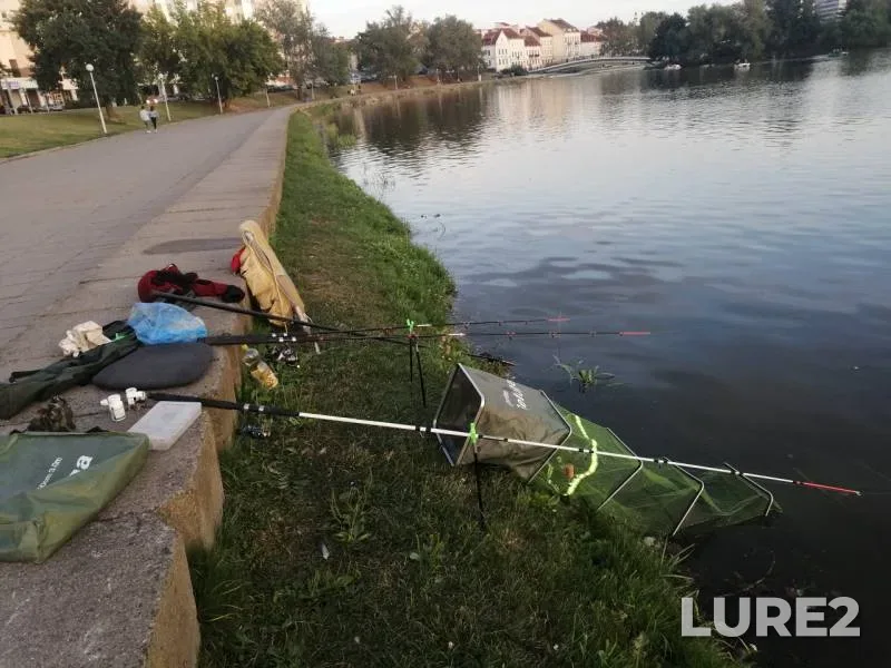 Лещ, Плотва — Свислочь, 07 июл. 2019 г.