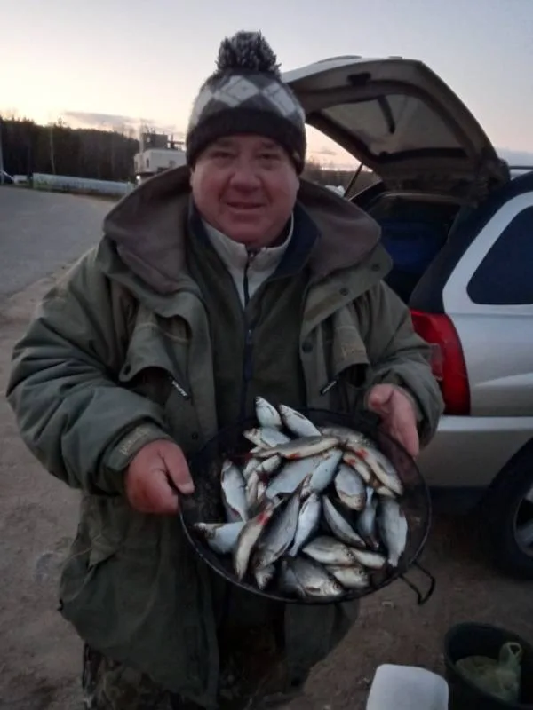 Плотва
