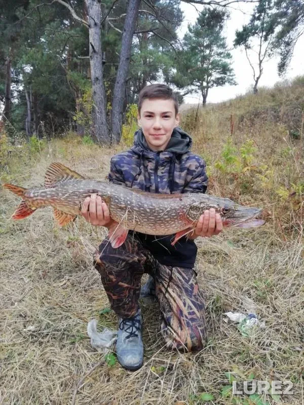 Щука