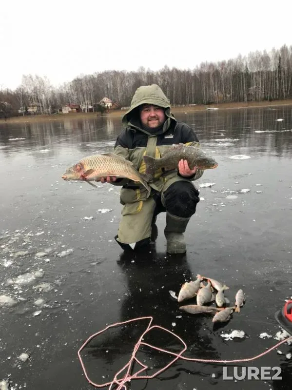 Окунь