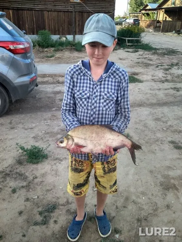 Лещ