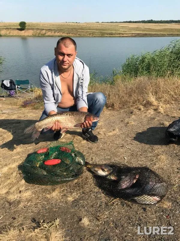 Карп