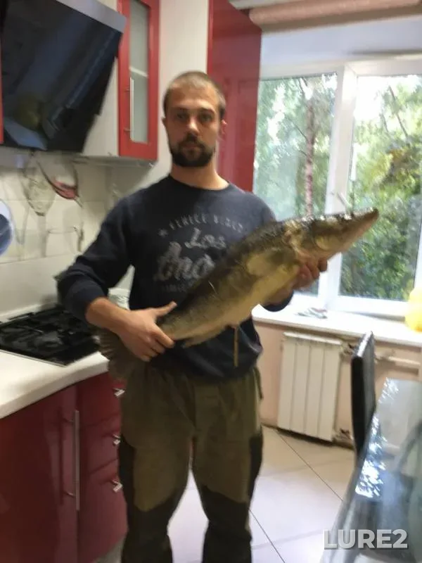 Судак