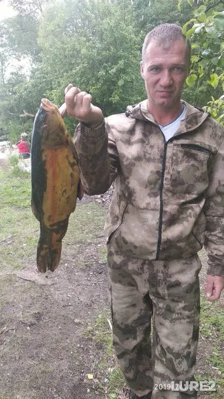 Линь