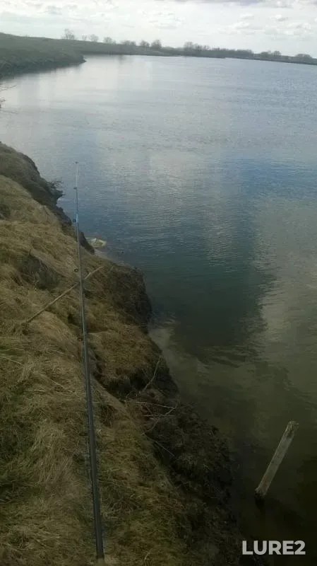 Карась