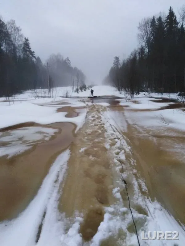 Окунь, Щука