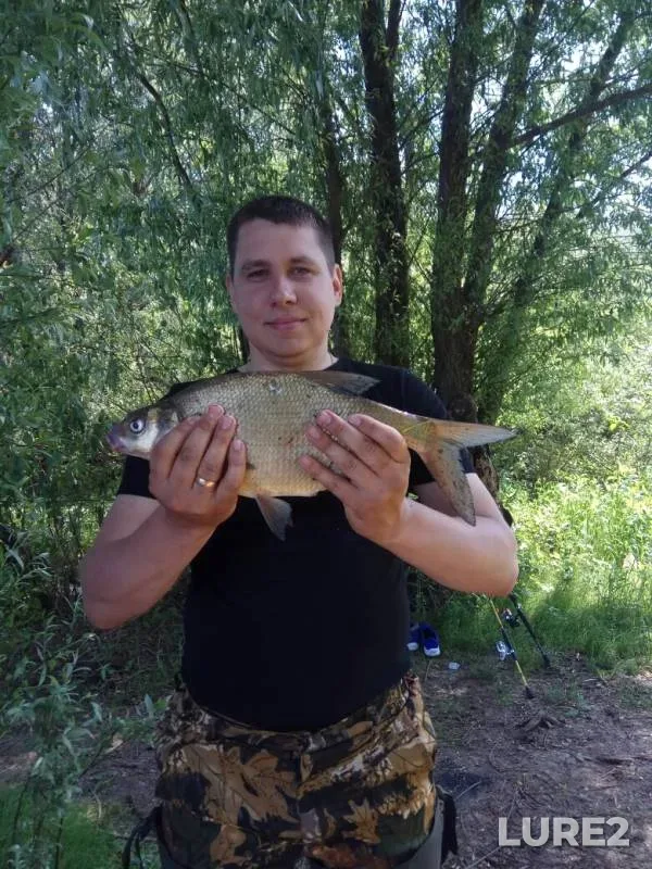 Лещ — Днепр, 31 мая 2019 г.