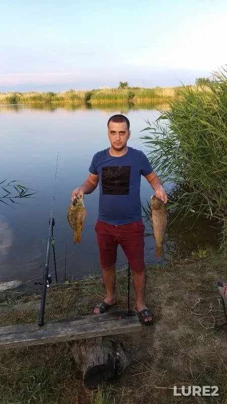Карп