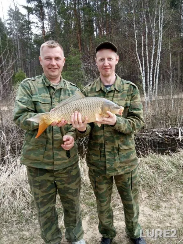 Карп