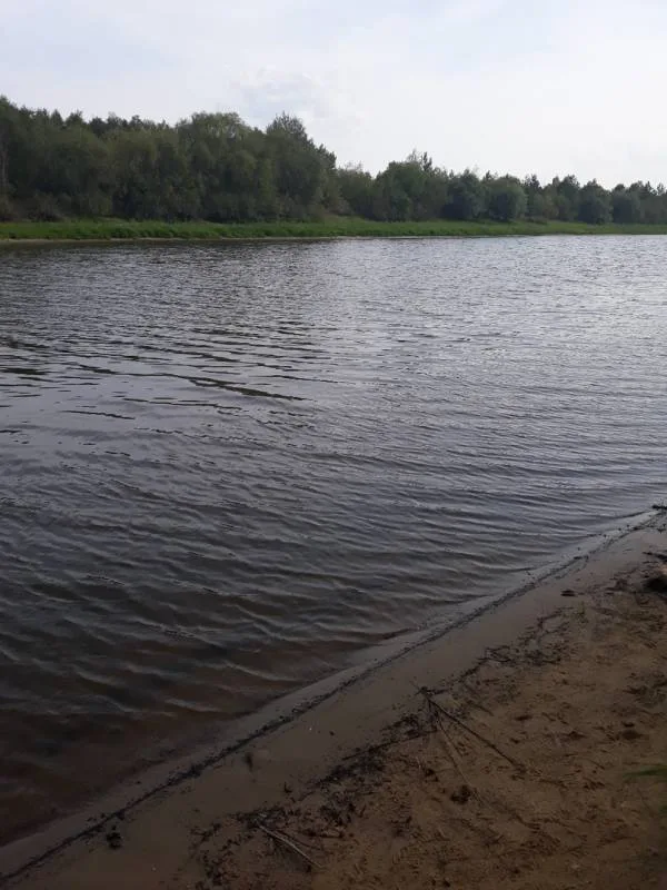 Лещ