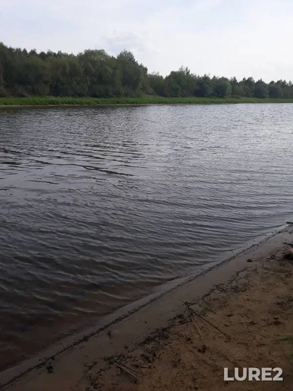 Лещ — Микашевичский канал, 08 сент. 2019 г.