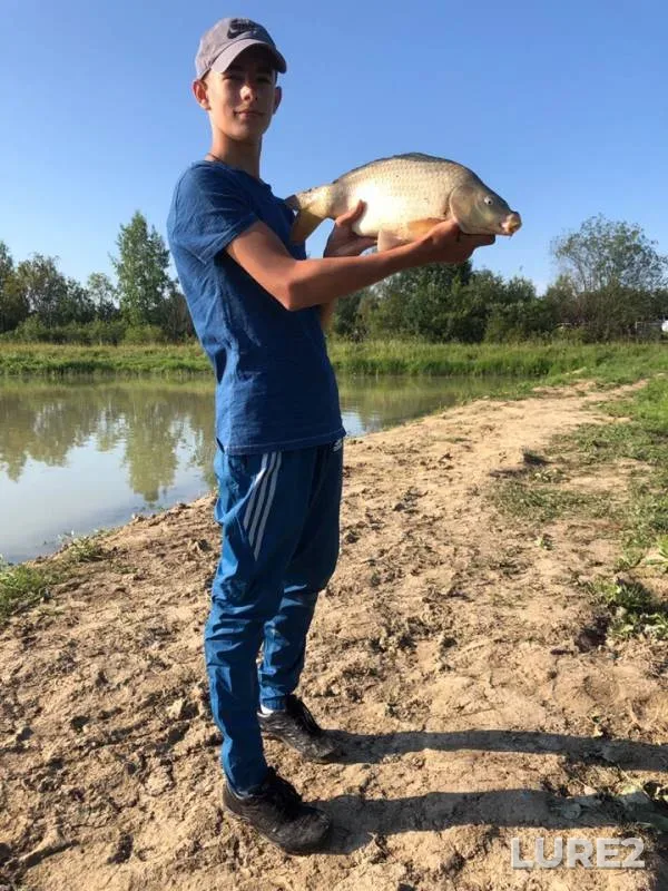 Карп
